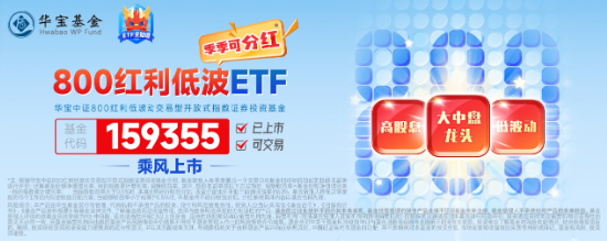 最后一跌！金融科技ETF（159851）年内份额暴增10倍！资金涌向创业板人工智能，机构：AI或是2025最强热点